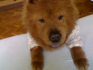 Прикачена снимка