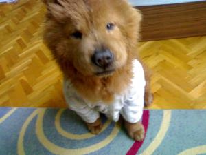 Прикачена снимка