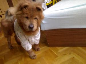 Прикачена снимка