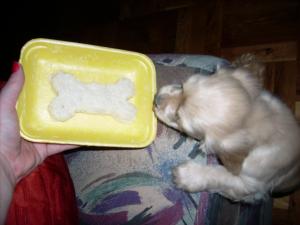 Прикачена снимка