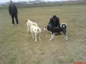 Прикачена снимка