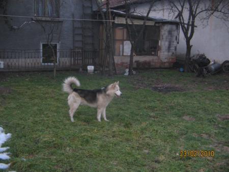 Прикачена снимка