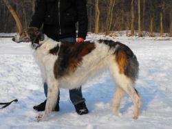 Прикачена снимка