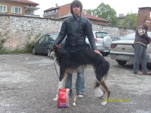 Прикачена снимка