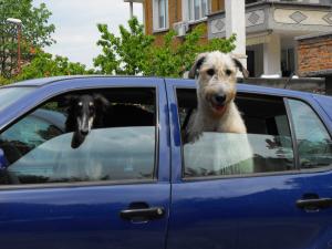 Прикачена снимка