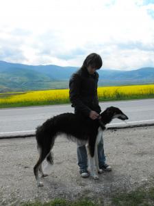 Прикачена снимка
