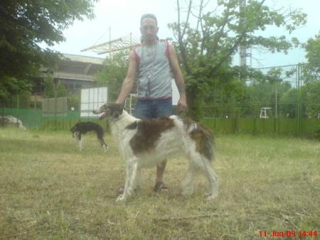 Прикачена снимка