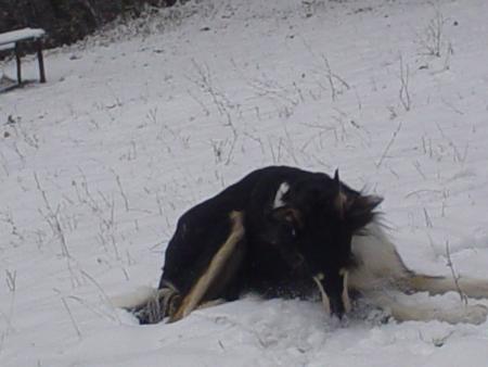 Прикачена снимка