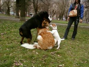 Прикачена снимка