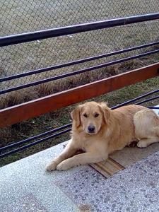 Прикачена снимка