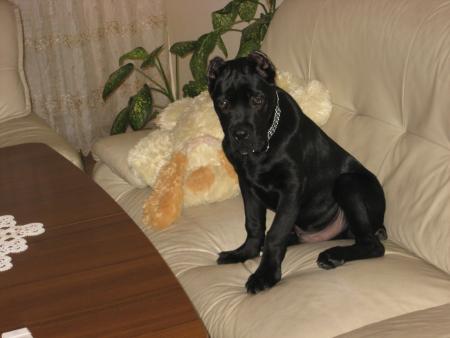 Прикачена снимка