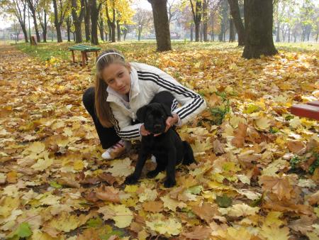 Прикачена снимка