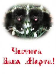 Прикачена снимка