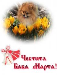 Прикачена снимка