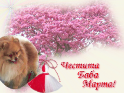 Прикачена снимка