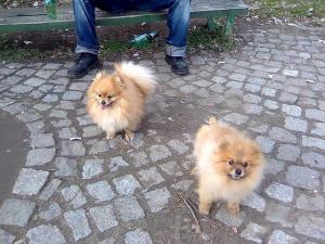 Прикачена снимка