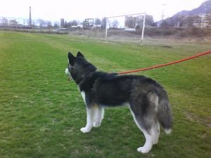 Прикачена снимка