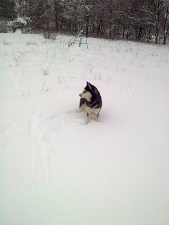 Прикачена снимка