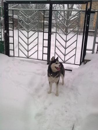 Прикачена снимка