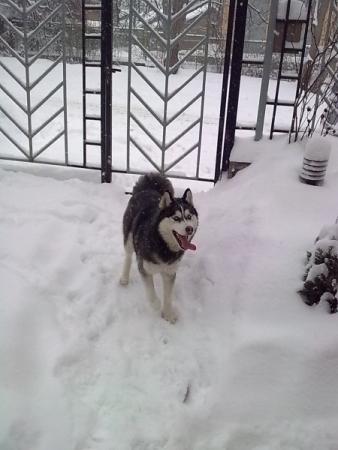 Прикачена снимка