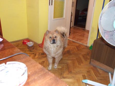 Прикачена снимка