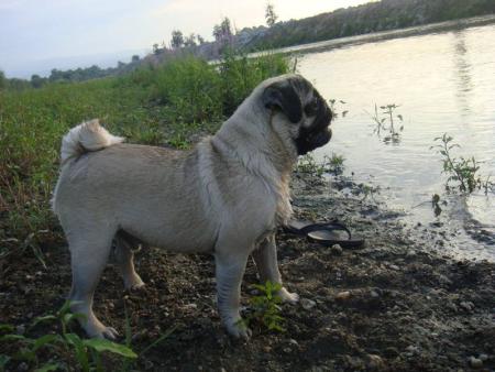 Прикачена снимка