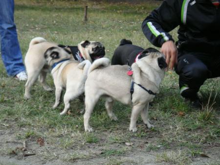 Прикачена снимка