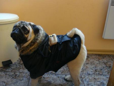 Прикачена снимка