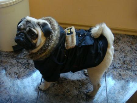 Прикачена снимка