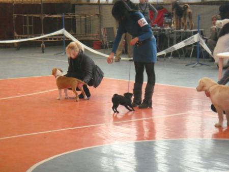 Прикачена снимка