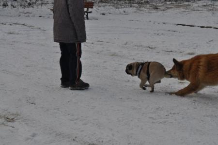 Прикачена снимка