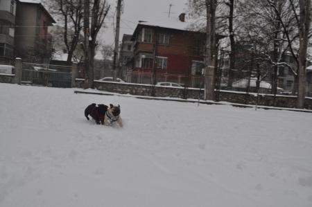 Прикачена снимка