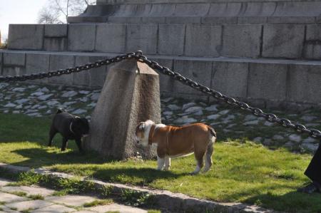 Прикачена снимка
