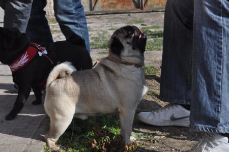 Прикачена снимка