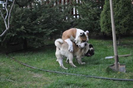 Прикачена снимка