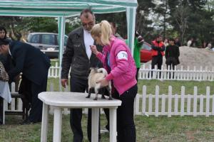 Прикачена снимка