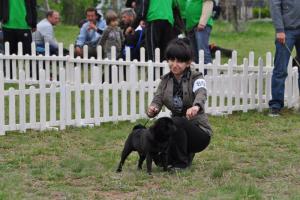 Прикачена снимка