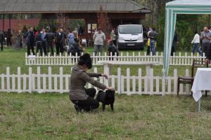 Прикачена снимка