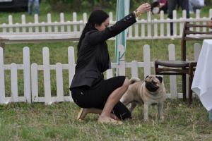 Прикачена снимка