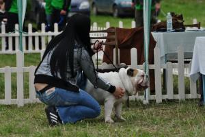 Прикачена снимка
