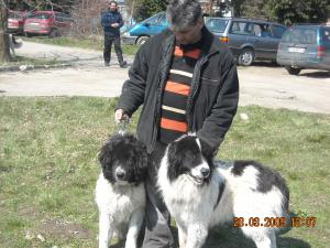 Прикачена снимка