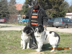 Прикачена снимка