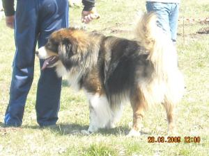 Прикачена снимка