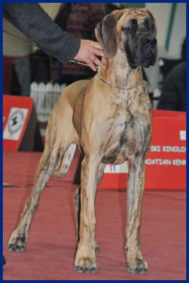 Прикачена снимка