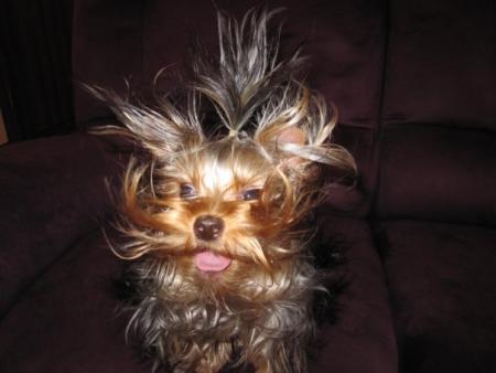 Прикачена снимка