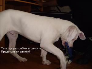 Прикачена снимка