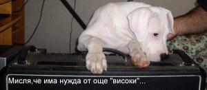 Прикачена снимка
