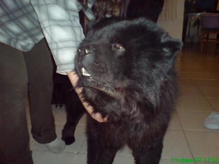 Прикачена снимка