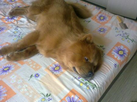 Прикачена снимка