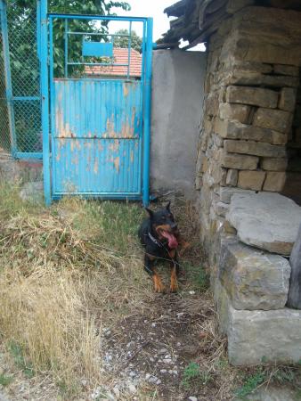 Прикачена снимка
